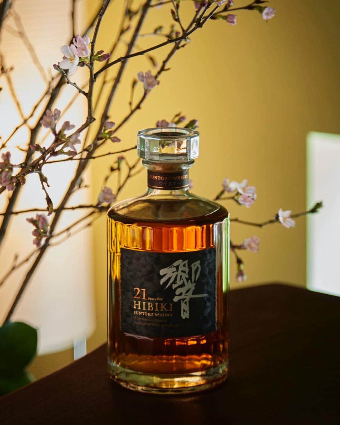 響 | SUNTORY WHISKY HIBIKIさんのインスタグラム写真 - (響 | SUNTORY WHISKY HIBIKIInstagram)「. HIBIKI TIME ほころんだ可憐な花を愛しみ Admire the lovely buds as they begin to blossom. #響 #hibiki #響時間 #二十四節気 #春分 #春 #桜 #cherryblossom #withnature #suntorytime」3月21日 18時03分 - suntorywhisky_hibiki