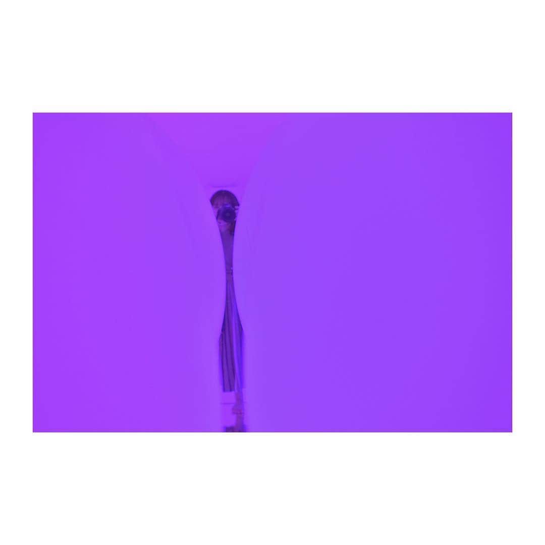 前田美里のインスタグラム：「紫の世界。💜 #チームラボ #チームラボプラネッツ #teamlab #豊洲 #ファインダー越しの私の世界 #写真好きな人と繋がりたい #nikon #D5500 #単焦点 #picture #photo #nikonphotography」