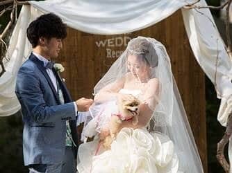 BARN&FOREST148のグルメインスタ