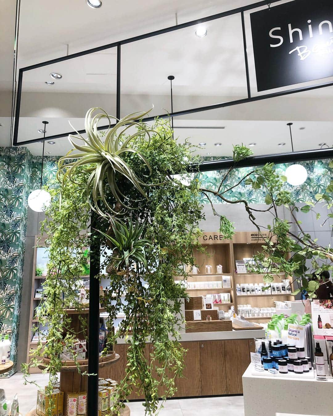 いなざうるす屋のインスタグラム