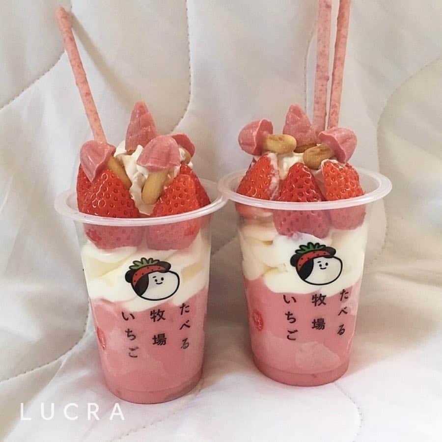 LUCRA（ルクラ）のインスタグラム