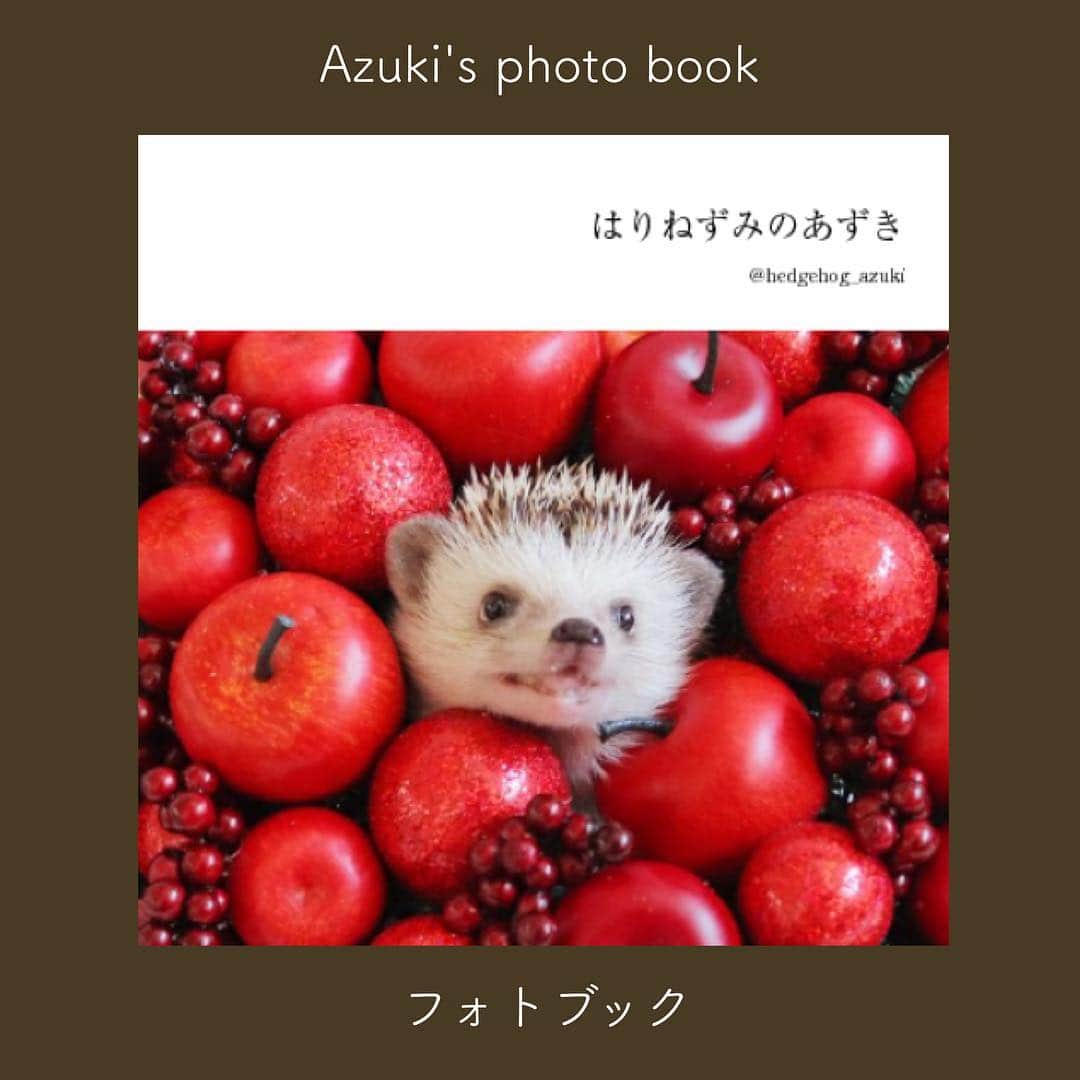 あずきさんのインスタグラム写真 - (あずきInstagram)「【写真展の詳細お知らせ】 I will hold photo exhibition of Azuki the hedgehog from March 29th to Aplil 7th. .Address🏠: 2-3-10 koishikawa bunkyoku tokyo, Japan 〒112-0002 .Open⏰: 12:00-19:00 . . あずきの最後の写真展『Hedgeholic展』を3月29日(金)から4月7日(日)に開催します🦔🌸✨ . 場所: アトリエリュヴァン http://atelierruban.com 住所: 東京都文京区小石川2-3-10 秋山ビル1階 時間: 12:00〜19:00 . . 土日は会場にいる予定です。 平日もなるべく出向くつもりですが、仕事の都合で抜ける場合もあります。 . 2年前の開催時には、皆さんのハリちゃんを連れて来ていただき会場でハリ会状態になっていましたが、今回は連れて来ていただきても結構ですが、『抱っこまで』という事にさせていただきたいと思っています。会場の床面にハリネズミを歩かせるのはご遠慮下さい。 . . グッズはやっと落ち着いたので公開！スライドしてご覧ください。 フォトブック、クリアファイル、Tシャツ、缶バッジなどをご用意致しました。 イラストは今回のために描き下ろしです🎨 . . . 来週は展示する写真選びとプリントに追われそうですが、素敵な写真展になるよう、頑張りたいと思っています。 . . よろしくお願いします。 . . . #写真展開催 #hedgeholic展 #はりねずみ #ハリネズミ #hedgehog #pygmyhedgehog #lovelypet #cuteanimals #はりねずみのあずき #hedgie #Hérisson #igel#riccio #Erizo #고슴도치 #刺猬 #hedgehogazuki  #hedgehogsofinstagram #animaladdicts #cuddles #meowed #hedgehogazuki #petscorner  #cutepetclub #worldofcutepets #animalvibes」3月21日 18時18分 - hedgehog_azuki