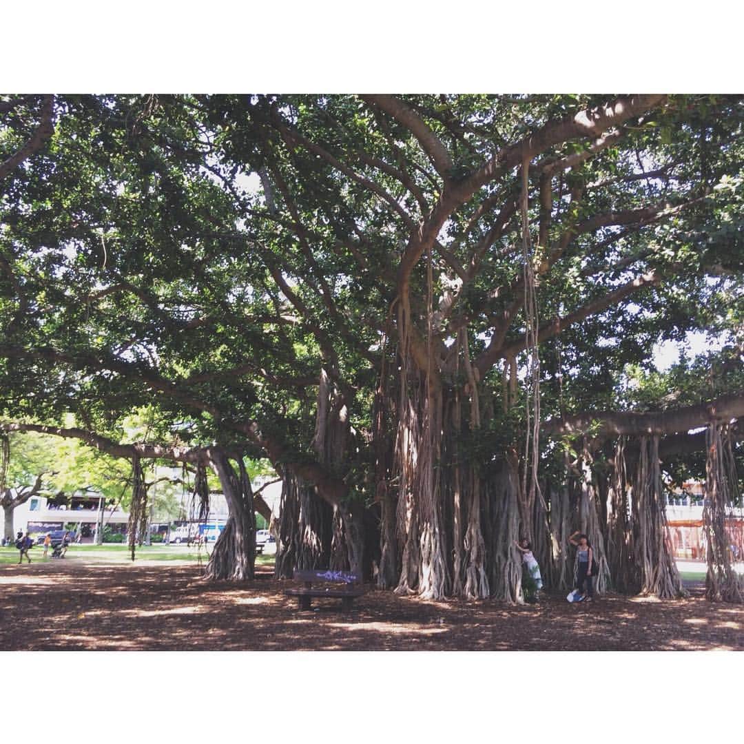 中津悠希のインスタグラム：「自然の中でのんびり🌴🌴😊🌴🌴 癒される😊💕 #hawaii #ハワイ #family #trip #honolulu #waikiki #sunbath #healing」