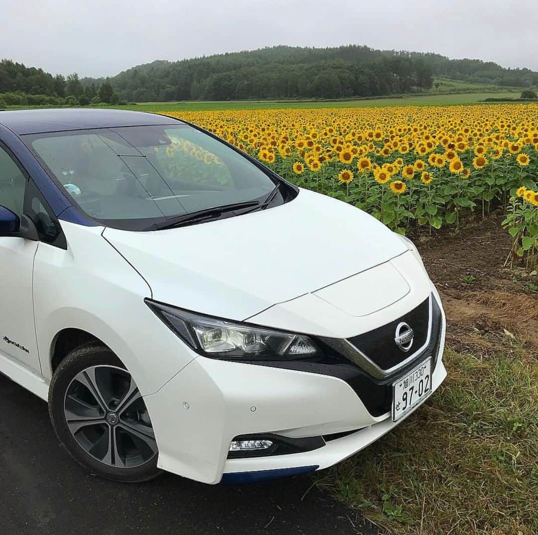 のインスタグラム：「Getting a little sun. 🌻 #NissanLEAF #SimplyAmazing 📷&🚗: @leaflife9702」