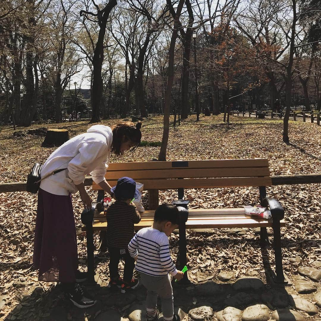 安田美沙子さんのインスタグラム写真 - (安田美沙子Instagram)「井の頭公園へお友達と行ってきました❤️✨ 自然もあるし、動物園には動物と触れ合える場所や、乗り物、遊具まで！！ 最高に楽しんでもらえたー💕 モルモットに触りたいけど、ドキドキして中々触れない様子が可愛かった☺️ . . 新幹線の乗り物は、チケットを握りしめて、自分が乗ったあともしばらく離れられなくて、位置を変えては振り返り、バイバーイ☺️✨ 鉄男くんです❤️京都鉄道博物館行きたいね☺️✨ . . 友達と学んだのは、こどものご飯だけしか用意してなかったから、自分たちのも予め次回からは用意しようとなりました。笑 意外と見つからなくて、子連れでパン屋とか探すのが大変過ぎて断念。 抱っこ紐も車に置いて、ベビーカーも無かったから中々辛かった。。かあちゃん腕プルプルです。B型買おうかなぁ。 おススメありますか？ . . とにかく、全身全力で楽しんだ様子でした❤️自然と触れ合って、走り回って欲しい！！東京だからこそ、そういう場所に足を運ばなくてはと思います。 . . #instagood #井の頭公園 #動物園 #新幹線 #モルモット #boy #22months #mama #friends #thanks」3月21日 10時16分 - yasuda_misako