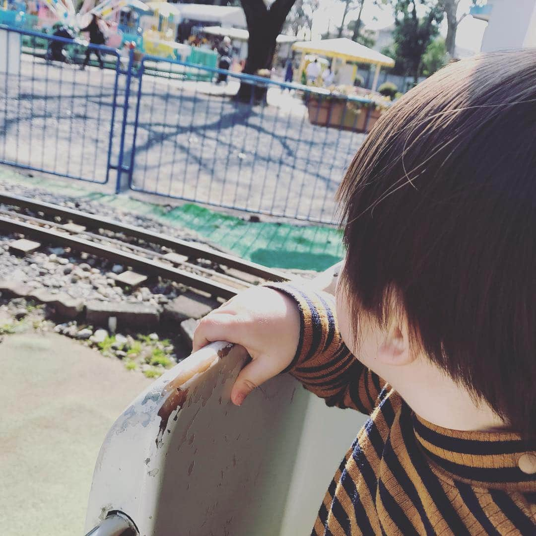 安田美沙子さんのインスタグラム写真 - (安田美沙子Instagram)「井の頭公園へお友達と行ってきました❤️✨ 自然もあるし、動物園には動物と触れ合える場所や、乗り物、遊具まで！！ 最高に楽しんでもらえたー💕 モルモットに触りたいけど、ドキドキして中々触れない様子が可愛かった☺️ . . 新幹線の乗り物は、チケットを握りしめて、自分が乗ったあともしばらく離れられなくて、位置を変えては振り返り、バイバーイ☺️✨ 鉄男くんです❤️京都鉄道博物館行きたいね☺️✨ . . 友達と学んだのは、こどものご飯だけしか用意してなかったから、自分たちのも予め次回からは用意しようとなりました。笑 意外と見つからなくて、子連れでパン屋とか探すのが大変過ぎて断念。 抱っこ紐も車に置いて、ベビーカーも無かったから中々辛かった。。かあちゃん腕プルプルです。B型買おうかなぁ。 おススメありますか？ . . とにかく、全身全力で楽しんだ様子でした❤️自然と触れ合って、走り回って欲しい！！東京だからこそ、そういう場所に足を運ばなくてはと思います。 . . #instagood #井の頭公園 #動物園 #新幹線 #モルモット #boy #22months #mama #friends #thanks」3月21日 10時16分 - yasuda_misako