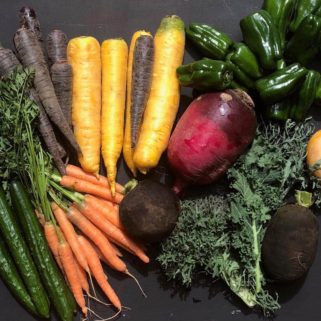 ORGANIC TABLE BY LAPAZのグルメインスタ