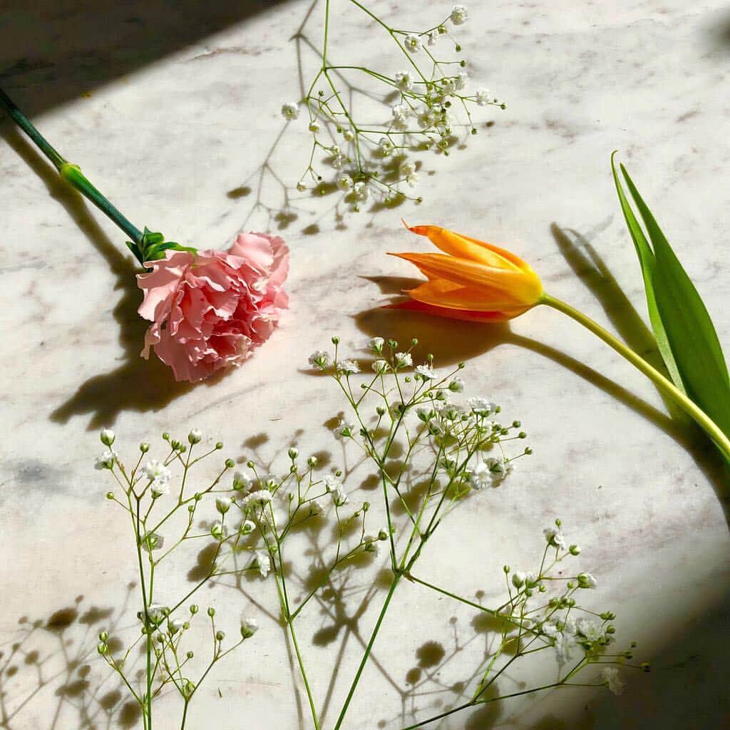 のインスタグラム：「今回の花材はこちら🙌✨ チューリップを見ると春の訪れを感じますね🌷🌿💐 ... #花豆知識 他のチューリップよりも茎が細く華奢なので、ちょっとしたそよ風にも踊るように揺れます💃🕺その姿こそ、まさにバレリーナ！そして、甘い香りも特徴です💡#フリージア にも似たさわやかな甘い香りが、風に揺れてふんわり香るのもたまりません😍😍😍春らしい花の香りです🌸 ... #暮らしに彩りを #いけばな始めました …. #ikebana #池坊 #花のある暮らし#Instaphoto #Instaflower#bloomeelife #ブルーミーライフ #カーネーション #Carnation #チューリップ #Tulip #バレリーナ #ballerina #カスミソウ #Gypsophila #diy #300均 #3COINS #スワッグ #swag #ドライフラワー #dryflower #dryflowers #大理石」