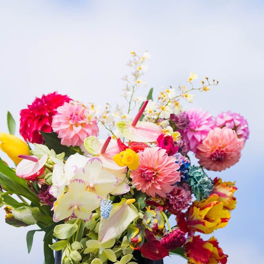 スープストックトーキョー 公式さんのインスタグラム写真 - (スープストックトーキョー 公式Instagram)「花は、もっと自由に楽しめる。🌹 . 今月のリーフレットのテーマは「#花があると」です。 東京・表参道の路地裏にある 「logi PLANTS&FLOWERS (@logiplantsandflowers)」さんにお願いし、 スープストックトーキョーのスタッフたちが 花を一緒に選んでもらい、 そのやりとりを記録しました。 💬 . スープフレンズは、logi PLANTS&FLOWERSを 営む、宇田陽子さん(@udayoko)。 花がある生活と花の楽しみ方について お話を伺いました。💐 . 続きは店頭のリーフレットでお楽しみください。 . #soupstocktokyo#soupstock #スープストックトーキョー#スープストック #店頭リーフレット#リーフレット#花#春#花を贈る#花のある暮らし#花のある生活  #flower#spring#logi#logiplantsandflowers」3月21日 11時05分 - soupstocktokyo