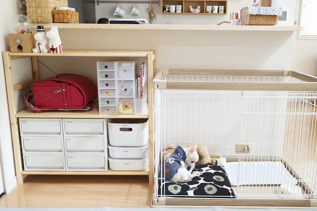 のインスタグラム：「* 4月から娘が小学生になるので、スペース作りを始めました☺ . . パイン材シェルフは、送料が上がる前の2月に購入。そして、今回の良品週間で小物収納ボックスを買いました！ これ、初めて使ったのですが、めーーっちゃ使いやすい👏✨引き出しが細かく分かれているので、取り出しやすいなぁ。 6段には文具類、3段にはハンカチ＆ティッシュなどを入れました。 . . 体操服や上履きなど、週末持ち帰りのものはパントリー内にかける場所があるので、そこに置く予定です。 あとは、持ち帰りの教科書がどのぐらいあるか分からないので、小学生になってから、立ち上がりのないファイルスタンドをカインズで購入しようと思っています♡ (@miiiiiii_y みずほちゃん情報✨ありがとう！) . 保育園生活も残り一週間。。ドキドキ＆寂しい💦 . . . . . . . . #ぽん_入学準備」