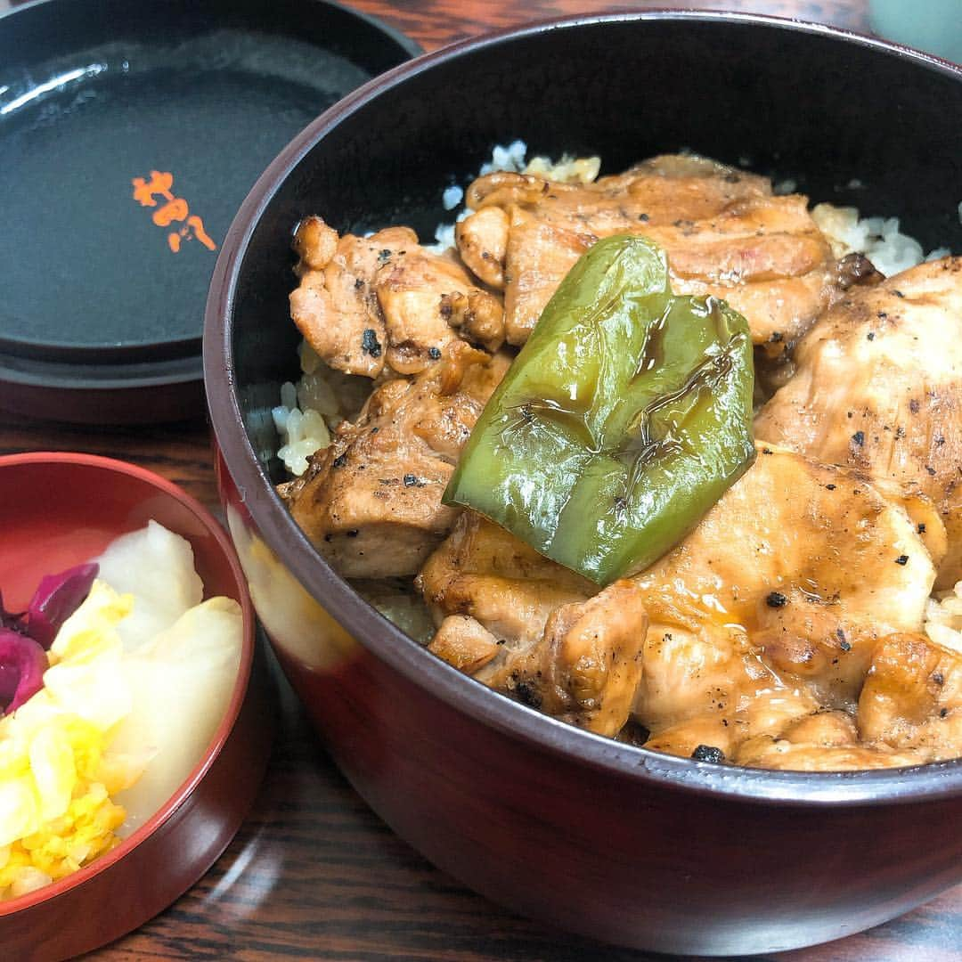 藤江れいなさんのインスタグラム写真 - (藤江れいなInstagram)「中山競馬場で食べた キジ焼き美味しかった🐱💘 #神田川 #キジ焼き #中山競馬場 #競馬場グルメ」3月21日 12時01分 - 01nyan0201