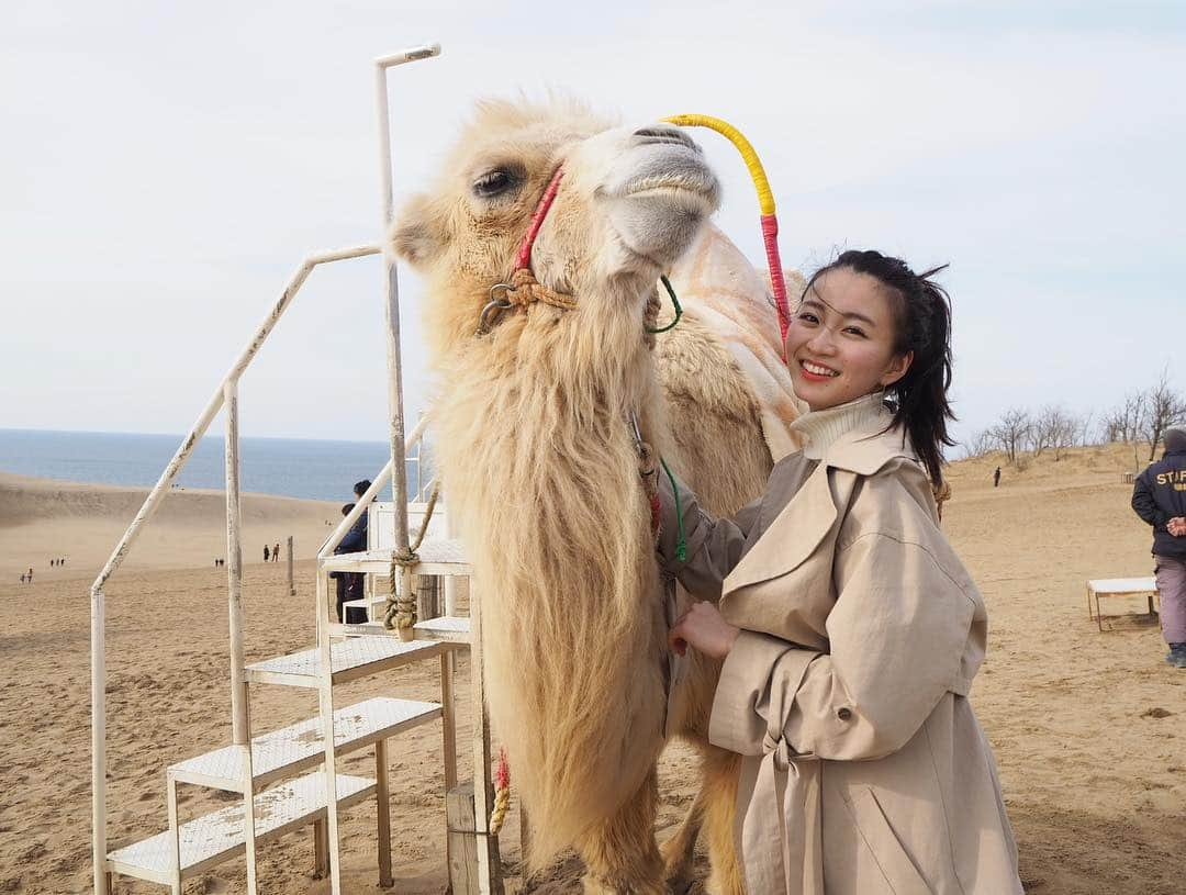 岡崎紗絵さんのインスタグラム写真 - (岡崎紗絵Instagram)「最後にラクダちゃん🐪 人懐っこくて可愛かった〜」3月21日 12時03分 - sae_okazaki