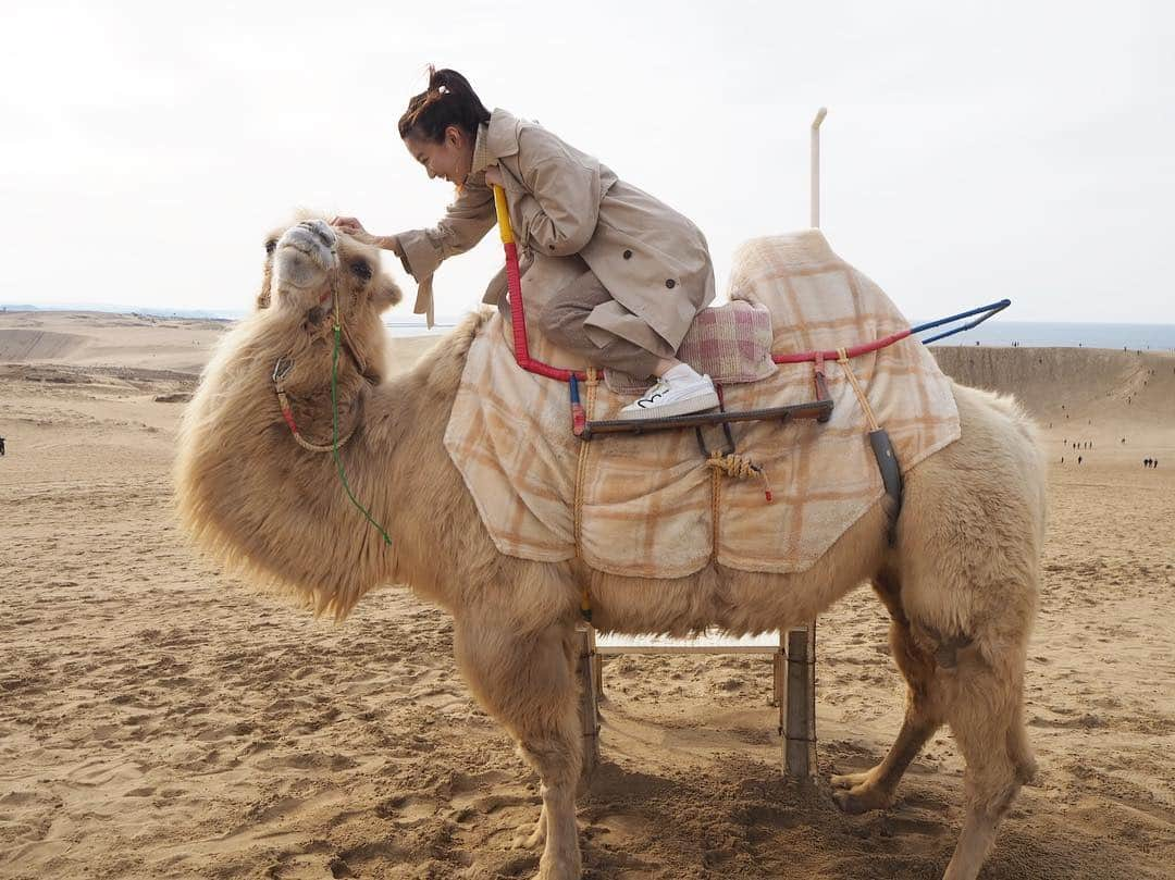 岡崎紗絵さんのインスタグラム写真 - (岡崎紗絵Instagram)「最後にラクダちゃん🐪 人懐っこくて可愛かった〜」3月21日 12時03分 - sae_okazaki