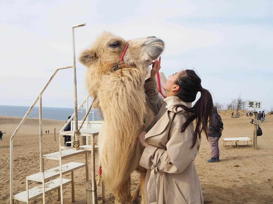 岡崎紗絵さんのインスタグラム写真 - (岡崎紗絵Instagram)「最後にラクダちゃん🐪 人懐っこくて可愛かった〜」3月21日 12時03分 - sae_okazaki