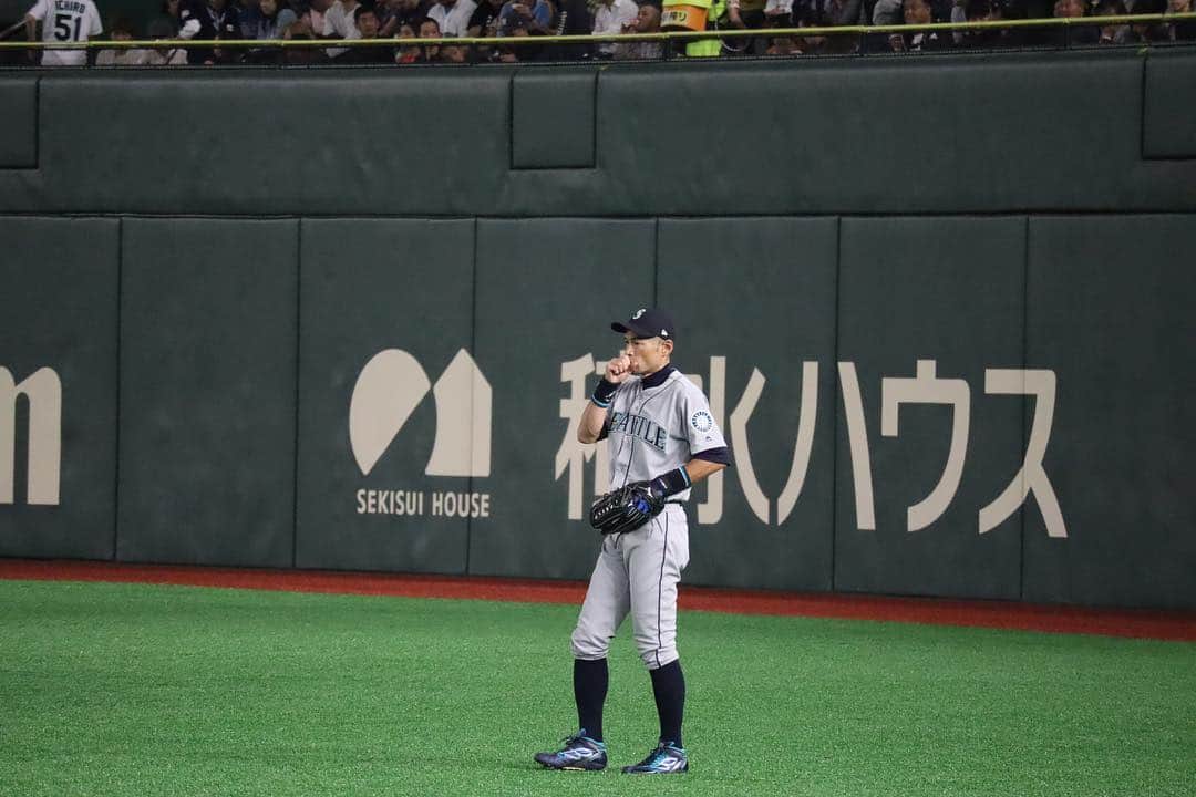 金泉紗恵子さんのインスタグラム写真 - (金泉紗恵子Instagram)「.﻿ なんと今シーズン初の観戦がMLB開幕戦⚾️﻿ シアトルマリナーズ VS オークランドアスレチック戦へ行ってきました✨﻿ ﻿ ﻿ 15年ほど前に叔父叔母がシアトルに住んでいたため、シアトルに遊びにいった時に観戦したマリナーズ戦では、イチロー選手と佐々木投手の活躍を見ることができました😍﻿ 人気すぎてICHIRO Tシャツは売り切れていて、あとで買って送ってもらったのですが、まさかこんなに時が経って、日本で着る機会があるなんて🤩﻿ 家で着てたから、ちょっとヨレヨレで色褪せてるけど、それだけ長い間イチロー選手が活躍してたってこと😁﻿ ﻿ ﻿ そして何と言っても、目の前で守備につくイチロー選手を見れて、誘ってくれた友人には感謝してもしきれません😭﻿ なぜか私が好きそうという直感で呼んでくれたらしく、本当にありがたかったです🥰﻿ 幸せな時間だったー🙏💓﻿ ﻿ ﻿ 鳴り物のないMLBの試合は、バットにボールが当たる音、ミットに突き刺さるボールの音も楽しめて、メジャーの迫力も体感できました🙌﻿ HRが多くてびっくりだったな☺️﻿ ﻿ ﻿ 動画の中にはイチロー選手のファールが目の前に飛んできたものも🤣﻿ 3列前の方がゲットしていました👍﻿ 撮ってたら飛んできてびっくりして腰が抜けるかと思った。笑﻿ ﻿ ﻿ 今夜は雄星投手とおそらく日本で観れる最後のイチロー選手🥺﻿ テレビの前で観戦したいと思います👍﻿ しかし昨夜ほどカメラの望遠レンズが活躍した日はなかったな😆﻿ 重いから今日は首が痛い🤷‍♀️笑﻿ .﻿ #mlbbaseball #baseball #seattlemariners #followme #oaklandathletics #tokyodome #ichiro #ichirosuzuki #eoskissm #canoneoskissm #mlb開幕戦 #東京ドーム #野球 #野球観戦 #野球女子 #イチロー #イチロー選手 #イチローtシャツ #エキサイトシート #シアトルマリナーズ #オークランドアスレチックス #ミラーレス一眼 #望遠レンズ」3月21日 12時34分 - saeko_kanaizumi
