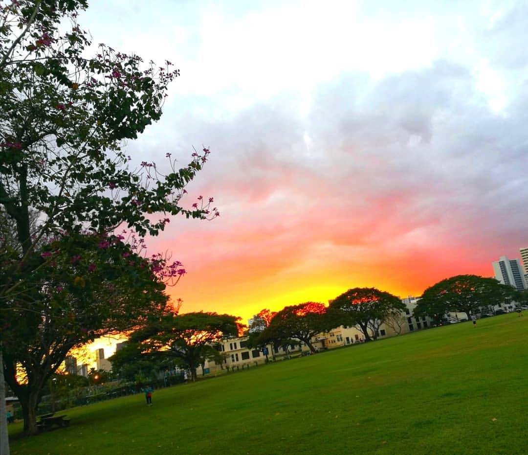 Moco Lima Hawaiiさんのインスタグラム写真 - (Moco Lima HawaiiInstagram)「Bucket Tote Pineapple, Made by Moco #sunset#awesome#color#beautiful#wonderful#sky#relaxing#calming#wednesday#black#pineapple#hawaii#mocolima#today#spring#今日の日はさようなら#また明日#水曜日#いつもの風景#穏やかな時間#春休み」3月21日 12時37分 - mocolimahawaii