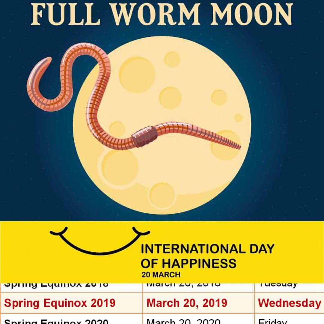 フリーマ・アジェマンさんのインスタグラム写真 - (フリーマ・アジェマンInstagram)「Never let it be said I don’t know how to share... So I’m still on EST thus it’s still the International Day of Happiness, the first day of Spring and it’s a full ass super (worm) Moon tonight people!!! YAAS March 20th!!! Bringing all dem good tings!!! 🌕😄🌸 #mybirthdate」3月21日 12時43分 - freemaofficial