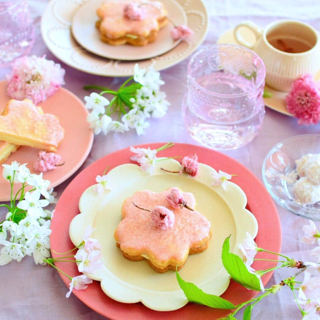 nao_cafe_さんのインスタグラム写真 - (nao_cafe_Instagram)「米粉の桜クッキーサンド . 米粉クッキーを桜のセルクルで抜いて ホワイトチョコを挟み、 桜パウダーを加えたアイシングをかけました。 お花見シーズンにぴったりです🌸 桜セルクルと桜パウダーは @cotta_corecle コッタさんの。 . 卒業式、謝恩会も無事終わり少し落ち着きました。 雑感はブログに書いたのでよかったら。 → @nao_cafe_  少々毒吐いてます。 . . 2019.3.21 . . #ちゃんと可愛いグルテンフリー #グルテンフリー#米粉クッキー#米粉スイーツ #cotta#コッタ#イイホシユミコ#佐野智子#青木良太 #うつわ好き#ミナペルホネン#ピンク好き #おやつ#お菓子作り#手作りお菓子 #foodstagram #glutenfree」3月21日 12時51分 - nao_cafe_