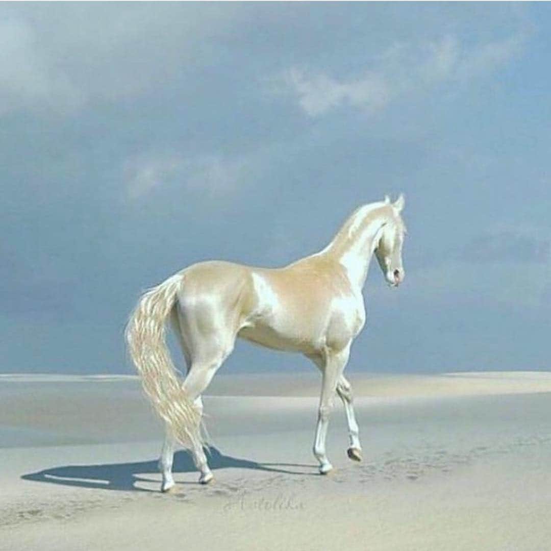 のインスタグラム：「#mood 🦄 気合い入れて衣替えー🤧 紹介したい新作もたくさん！」