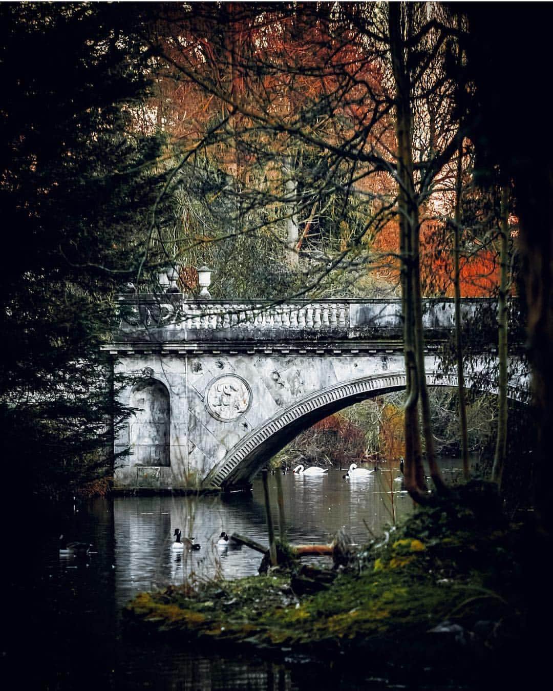 @LONDON | TAG #THISISLONDONさんのインスタグラム写真 - (@LONDON | TAG #THISISLONDONInstagram)「The #ClassicBridge in #Chiswick house & gardens, beautifully captured by @igorzerajic 😍 This bridge dates back to 1788 😱 // #thisislondon #london」3月21日 18時36分 - london