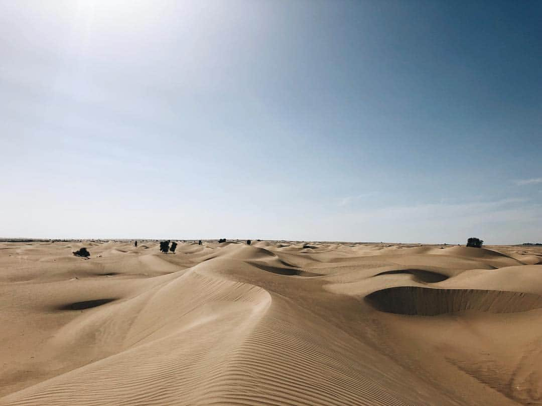 山賀琴子さんのインスタグラム写真 - (山賀琴子Instagram)「砂漠🏜﻿ ﻿ ﻿ #ドバイ #VisitDubai #MyDubai #タビジョ #tabijomap_dubai #Ambassador」3月21日 13時50分 - kotokoyamaga