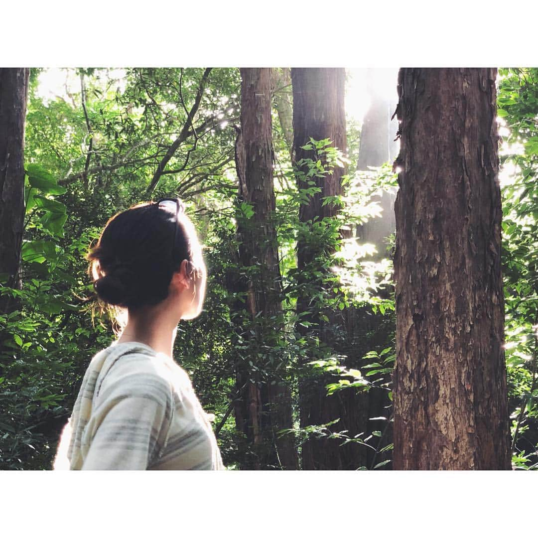 上野なつひさんのインスタグラム写真 - (上野なつひInstagram)「お天気最高🌸 朝の陽射し浴びてリフレーシュ✨ #光溢れる #森林浴 #格好ラフすぎる  #朝活」3月21日 13時48分 - natsuhi