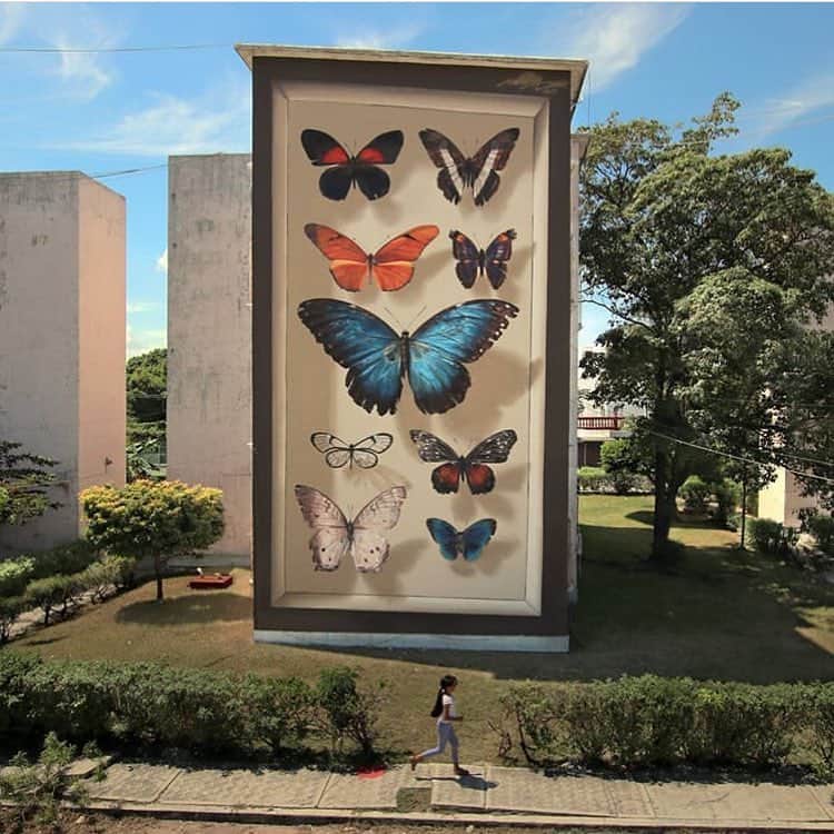 Art Collective Magazineさんのインスタグラム写真 - (Art Collective MagazineInstagram)「Beautiful mural by @mantrarea, I saw his work in person in Vienna and was instantly a fan. 🦋💥 Produced by @proyectopanorama  #artnerd #artcollective #isigroup」3月21日 14時05分 - art_collective