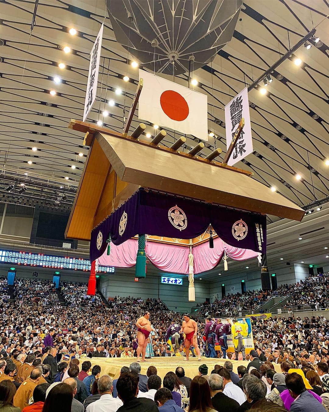 大西将太郎さんのインスタグラム写真 - (大西将太郎Instagram)「Went to watch sumo for the first time !! Awesome 👏  #SUMO #OSAKA #白鵬 #貴景勝 #Japan #traditional」3月21日 14時10分 - shotaro12