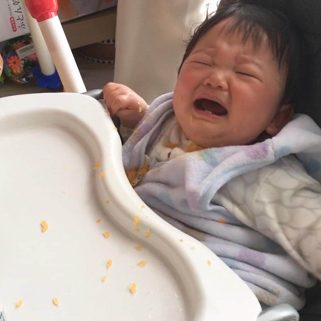 山西章博のインスタグラム：「みかん爆発したんか!? #赤ちゃん #嫡男 #せがれ #みかん #爆発 #手掴み食べ #力加減わからん #ほぼ潰した #耳だけ似てる #耳以外も似て来た #これ以上似るな #ママリ#パパリ#ベビフル#ベビリトル#コドモノ#mamanoko#コノビー#mamanokoカメラ部#mamanokoギフトキャンペーン#コドモダカラ」