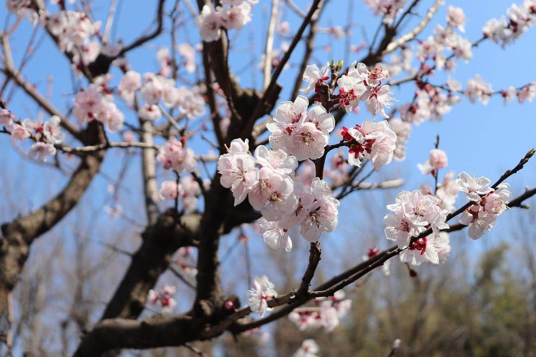 丘の上のパン屋 のグルメインスタ