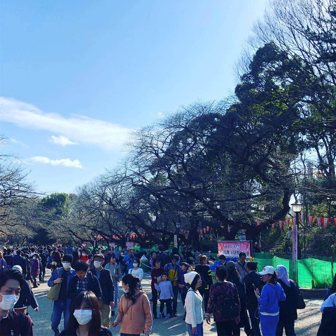 小宮山雄飛さんのインスタグラム写真 - (小宮山雄飛Instagram)「上野公園は枝見で盛り上がってる。」3月21日 15時13分 - yuhikomiyama