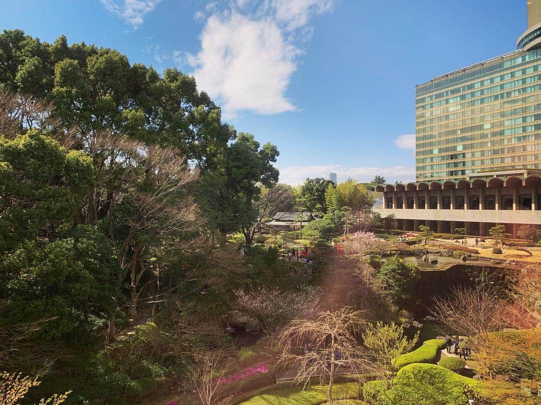 名波はるかのグルメインスタ