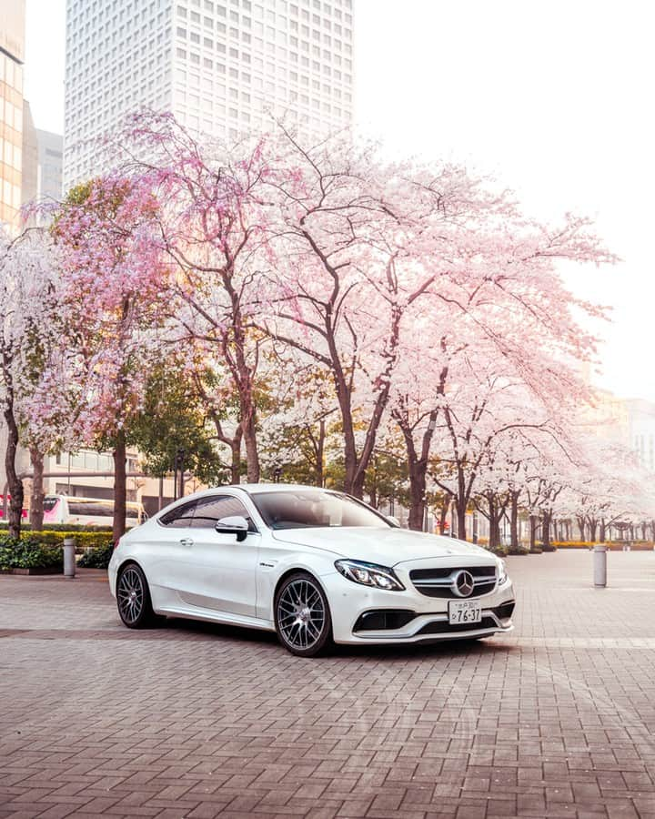 メルセデスベンツさんのインスタグラム写真 - (メルセデスベンツInstagram)「待ちに待った桜の季節が到来🌸  #MercedesBenz #メルセデスベンツ #MercedesAMG #C63 #mercedesbenzjapan #Cクラス #CClass #ドライブ #桜 #桜並木 #花見 #sakura」3月21日 15時45分 - mercedesbenzjapan