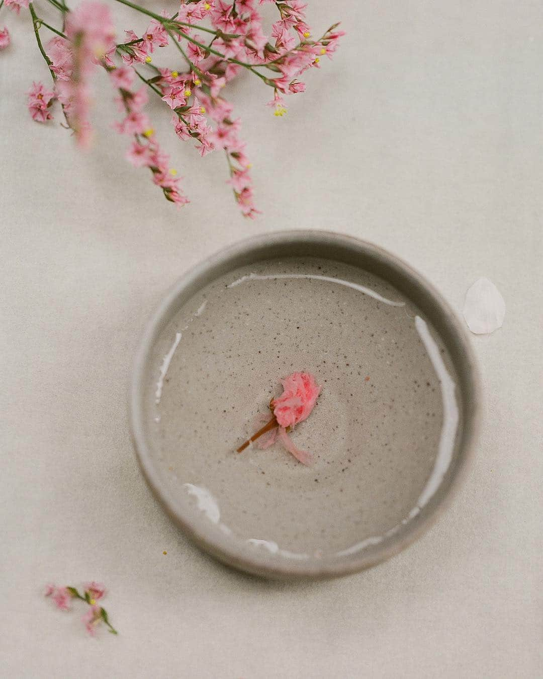 Veronica Halimさんのインスタグラム写真 - (Veronica HalimInstagram)「First day of Spring — #truffypi #vhcalligraphy #autumnandmeadow #styledshoot #fineartwedding #calligraphy #spring #autumnandmeadow #japanspring #styling #tokyostyling #wabisabi #tabledecor #invitationdesign #weddinginvitation #weddingstationary #stylemepretty #bridestory #oncewed #ウェディング前撮り #花嫁 #結婚 #結婚式 #春婚 #結婚式準備」3月21日 16時10分 - truffypi