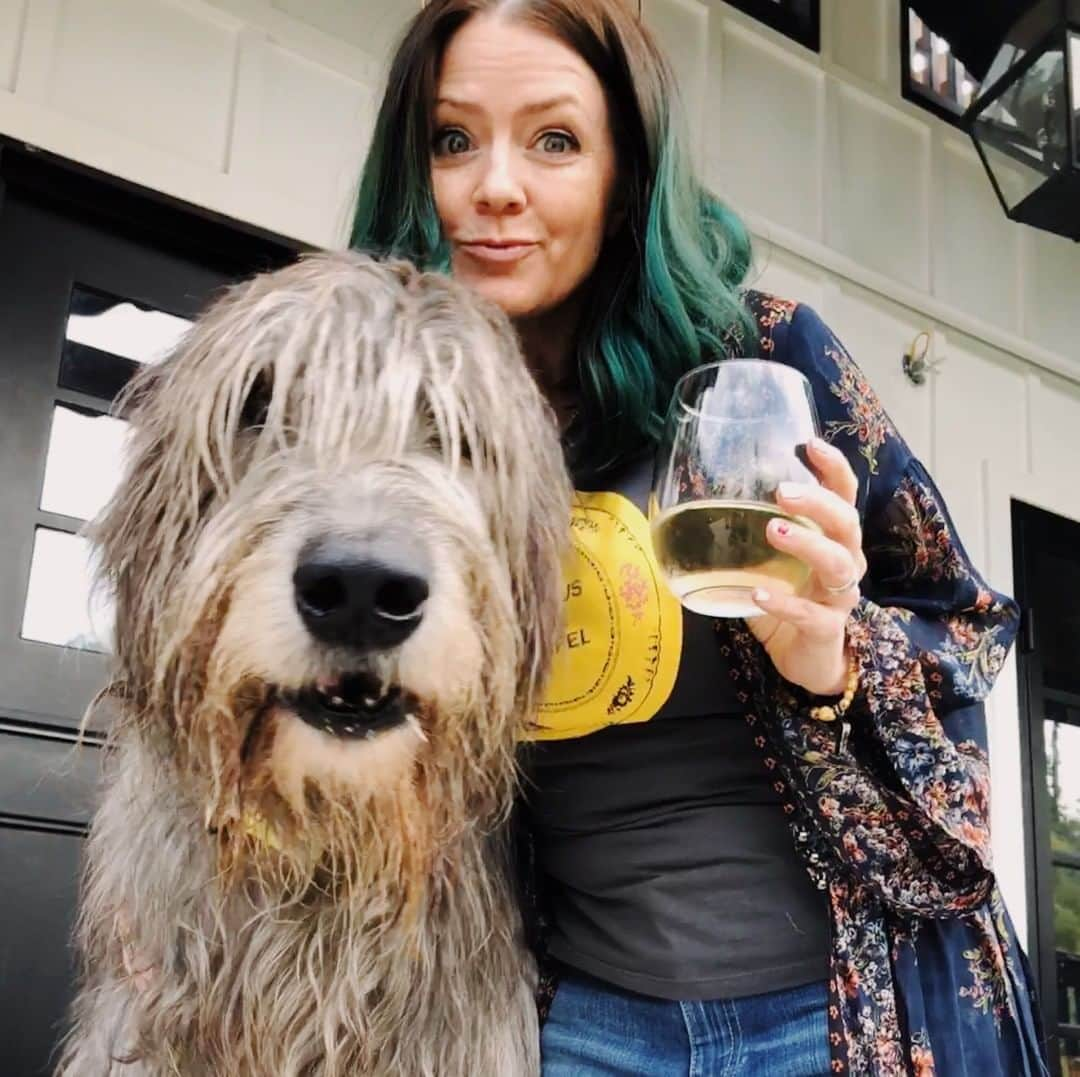 ジュリアナ・デヴァーさんのインスタグラム写真 - (ジュリアナ・デヴァーInstagram)「I always wanted an Irish Wolfhound.⁣ ⁣ I still don't have one, mostly because Bodie's already taken, but I love love loved spending time with this #gentlegiant. Guys, he's so much bigger than me!⁣ ⁣ Hubs and I had the awesome opportunity to record an episode of the Zane's World podcast with Zane Lamprey the other day! 🥃🍾🍻🍷🍸🍹Yay!⁣ ⁣ We've been watching Zane's shows for a decade now from Three Sheets to Drinking Made Easy to Chug. Now he's back with Four Sheets on @DrinkTV and we're hooked all over again.⁣ ⁣ As soon as we have an air date we'll let you know so you can listen to us Devers talk about drinking around the world, being on Castle together, and the time Zane broke Seamus's ankle. WHAT?!?⁣ ⁣ So yeah, I really showed up to hang out with Bodie, but added bonus that Zane, his wife Mel and friend Erica were such great humans. I love meeting awesome people, they're almost as good as furry friends. Almost. 😜.⁣ ⁣ Have you ever seen any of Zane's drinking/travel shows?? You gotta check it out!⁣ ⁣ ⁣ ⁣ #julianadever #cleverdeverwherever #podcast #foursheets #ZanesWorld #seamusdever #travelshow #irishwolfhound #bigdog #travel  #threesheets #zanelamprey #drinktv #podcasts #irishwolfhounds #irishwolfhoundsofig #giantdogsofinstagram #wolfhound #hugedog」3月22日 2時28分 - cleverdeverwherever