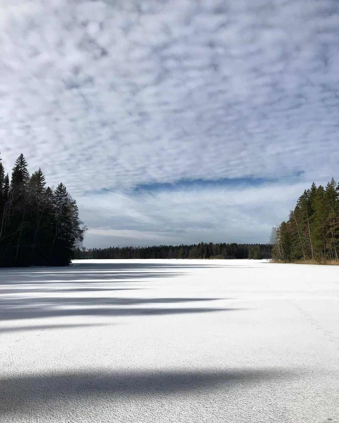 キーラ・コルピさんのインスタグラム写真 - (キーラ・コルピInstagram)「Ihana luonto!💚🇫🇮」3月21日 18時48分 - kiira_korpi