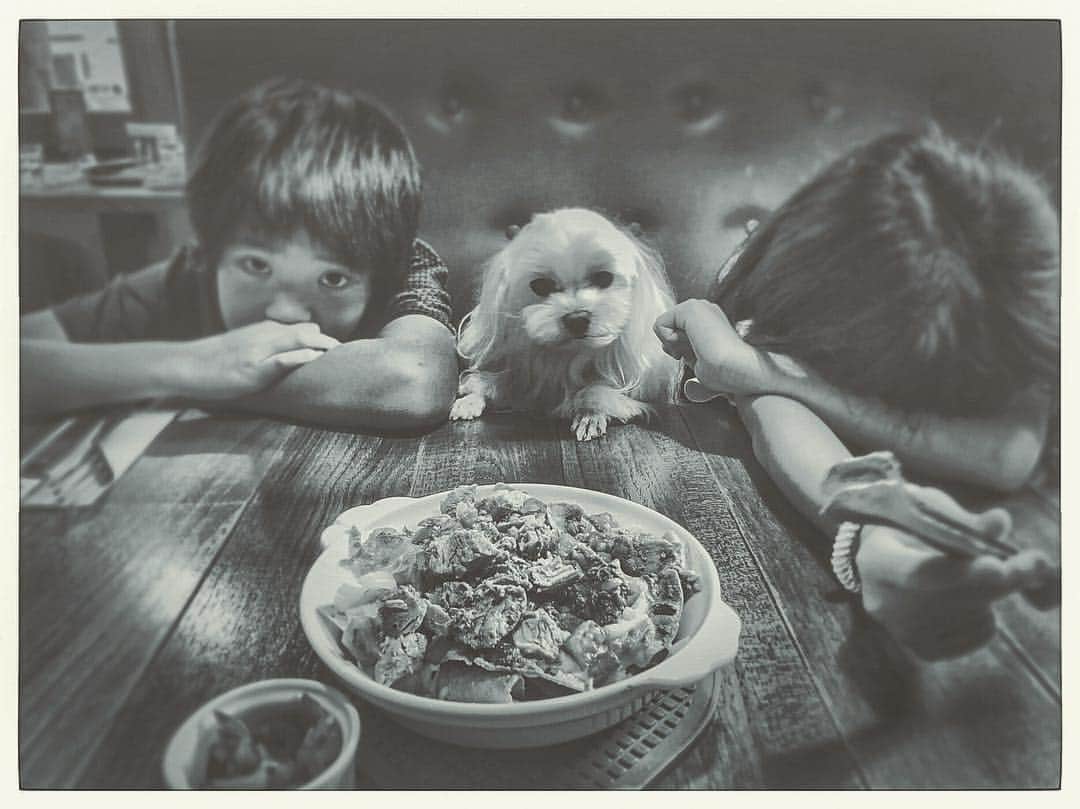 曹格格さんのインスタグラム写真 - (曹格格Instagram)「dinner with the kids....」3月21日 19時00分 - supergarychaw