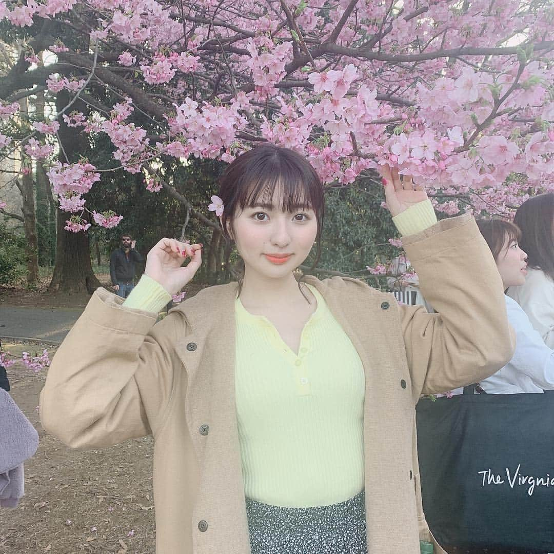 萩原うららさんのインスタグラム写真 - (萩原うららInstagram)「今日は新宿御苑に桜を見に行ったよ〜〜🙋‍♀️ ⠀ まだ全然咲いてなくて一本しか咲いてなかった😂🌸笑 (頭につけてる桜は落ちてたものです🙇‍♀️) ⠀ 満開の時にリベンジしたいなあ〜〜🥰⠀ ⠀ 韓国で買ったリルリバイレッドのリップ(05番だよ)とジョンセンムルのクッションファンデ(ピンクライト)使ったんだけど、めちゃくちゃよいな。。すき ⠀ #桜 #新宿御苑 #春メイク #春コーデ ⠀」3月21日 19時10分 - urarachan_918