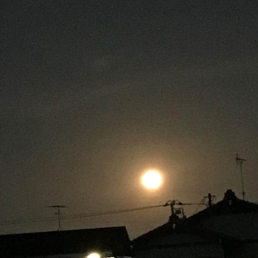 佐藤康恵さんのインスタグラム写真 - (佐藤康恵Instagram)「月が🌕近い🌟🌟🌟 皆んな見た？🤗🎶 お疲れ様です♡♡♡♡♡♡♡ #bigmoon #amazing #月 #佐藤康恵 #mama #さとうやすえ #幸せ #ひよこクラブ #月が近い」3月21日 19時11分 - yasuesato.official