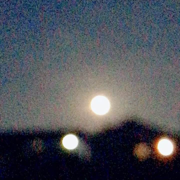のインスタグラム：「月が🌕近い🌟🌟🌟 皆んな見た？🤗🎶 お疲れ様です♡♡♡♡♡♡♡ #bigmoon #amazing #月 #佐藤康恵 #mama #さとうやすえ #幸せ #ひよこクラブ #月が近い」