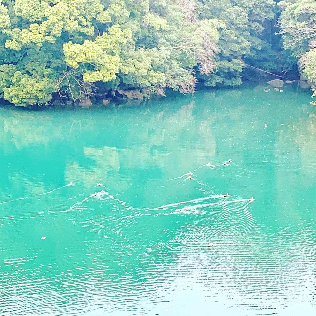 九十九島ベイサイドホテル＆リゾート フラッグスのグルメインスタ