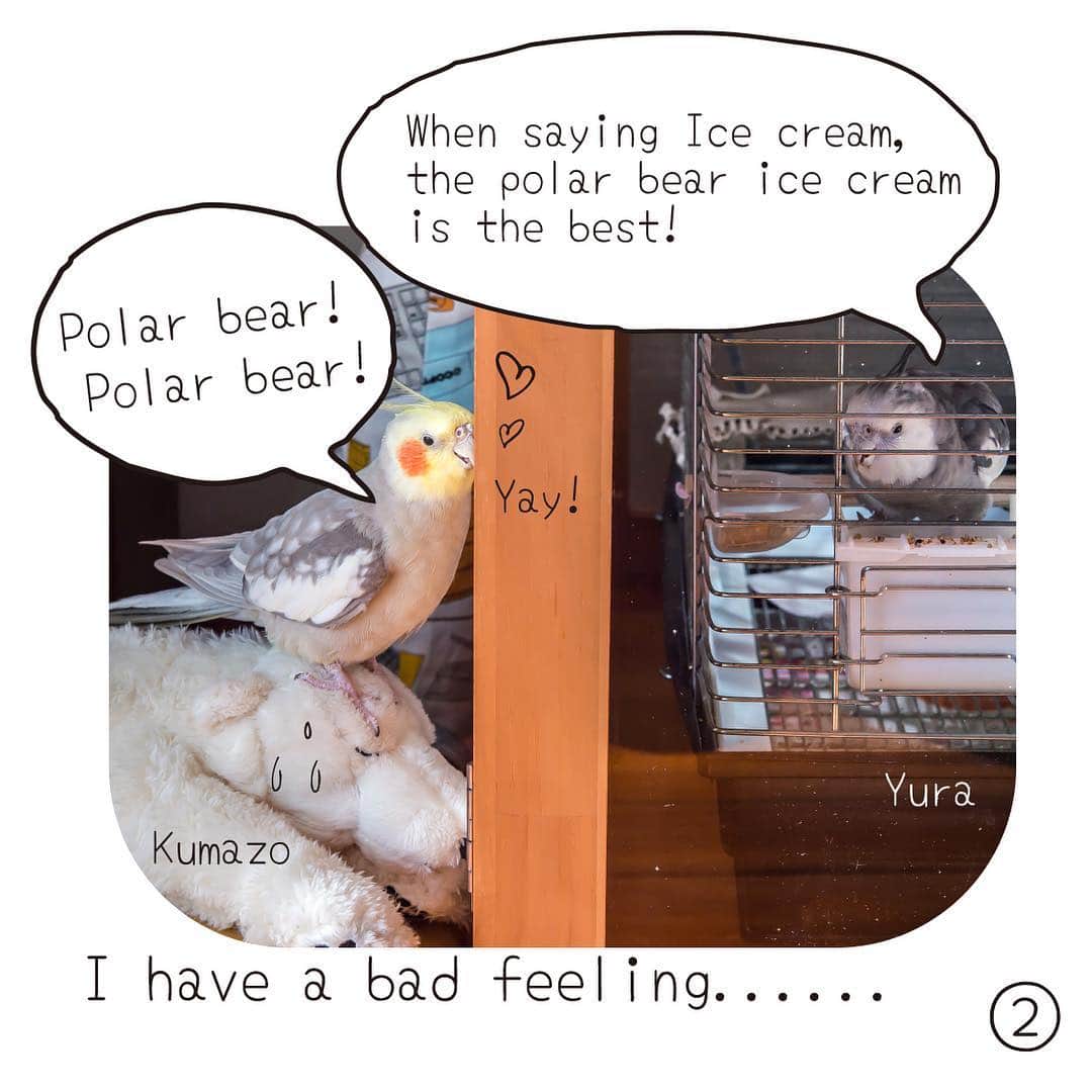 YURAPOi ゆらぽぃさんのインスタグラム写真 - (YURAPOi ゆらぽぃInstagram)「Kumazo (2)  1. Poi ! Today’s snack will be ice cream. Poi: ice cream?  2. Yura: when saying Ice cream, the polar bear ice cream is the best! Poi: Polar bear! Polar bear! Yay! Kumazo: I have a bad feeling...... 3. Poi: polar bears are so good! Yura: right? Kumazo: wa wa wa weight a minute.  4. Poi: may I pour syrup on next time? Kumazo: please don’t.」3月21日 19時32分 - ryoichisakai