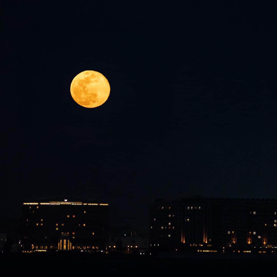 時任三郎さんのインスタグラム写真 - (時任三郎Instagram)「今日の満月の出。花粉舞う中へ突撃（笑）ディズニーランド上に浮かぶ満月。」3月21日 19時34分 - tokitosaburo