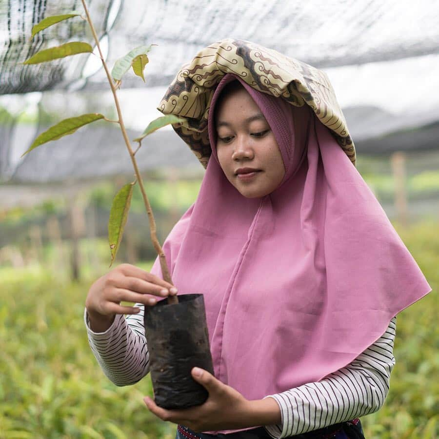 ClarinsUKさんのインスタグラム写真 - (ClarinsUKInstagram)「Happy #InternationalDayOfForests. Since 2011, more than 470,000 trees have been planted in partnership with @purprojet, and its only just the beginning! #Clarins #ItsAllAboutYou」3月21日 19時37分 - clarinsuk