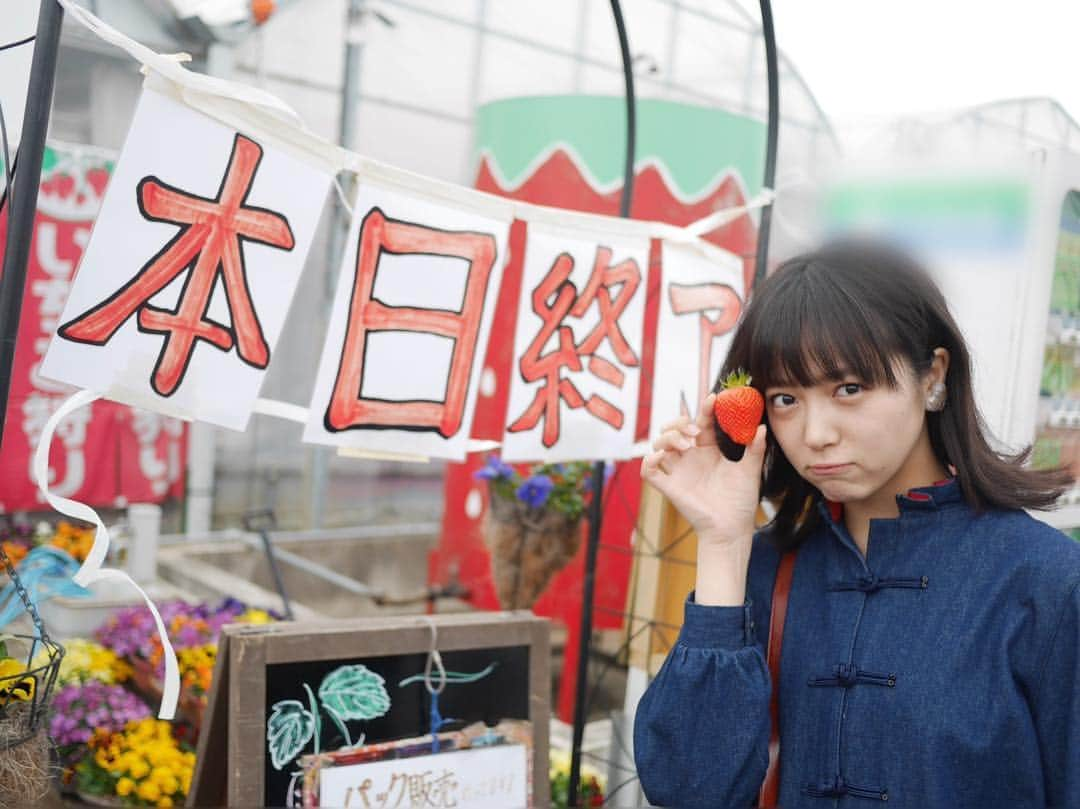 中山莉子さんのインスタグラム写真 - (中山莉子Instagram)「→ ㅤㅤㅤ ずっと行きたかった いちご狩り行ったらㅤㅤㅤ 本日終了してた、、、。ㅤㅤㅤ ㅤㅤㅤ 予約なしOKでオープン時間に行ったのにㅤㅤㅤ 春休みの祝日はすごいね😱😱😱 ㅤㅤㅤ ㅤㅤㅤ #いちご狩りㅤㅤㅤ #悔しいからイチゴ買って食べた #今度は予約していくよㅤㅤㅤ #いちご狩れなかったけど #帰りに映画「君は月夜に光り輝く」観れて良い日でしたㅤㅤㅤ ㅤㅤㅤ」3月21日 19時44分 - nakayama_riko_official