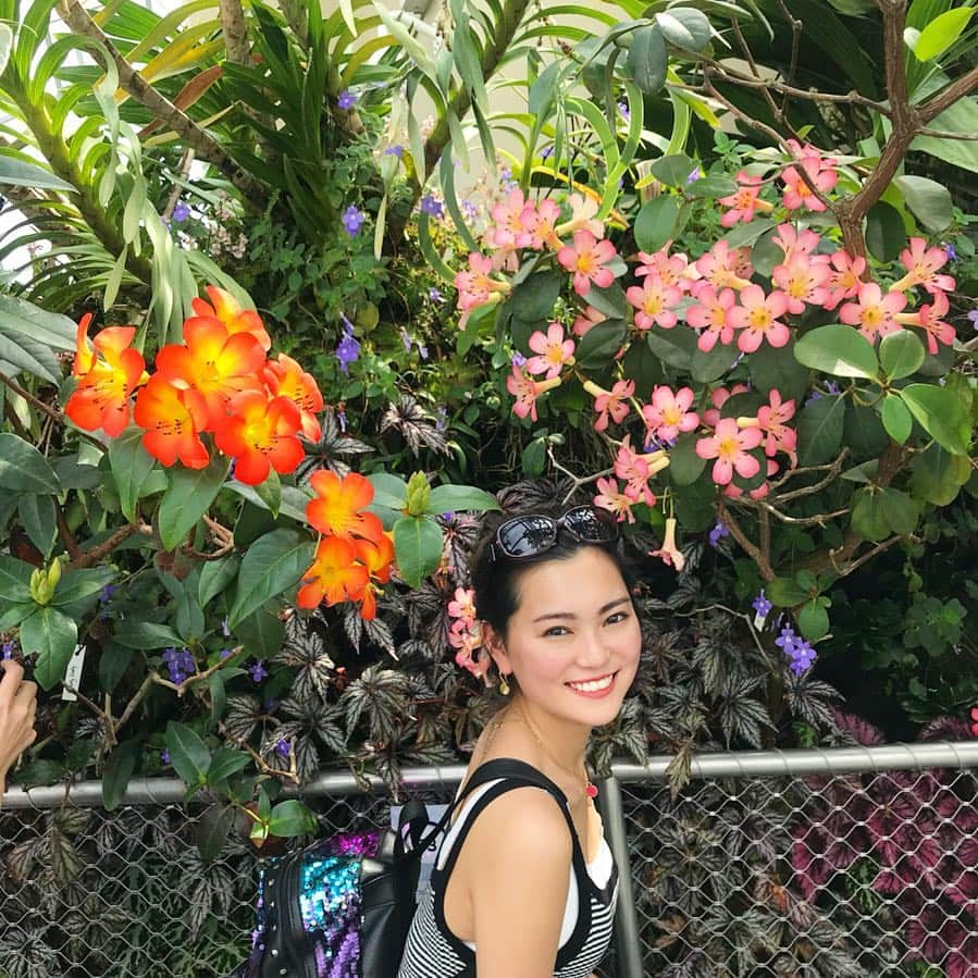 嶋優花のインスタグラム：「お久しぶりです☝🏽 家族でシンガポールに行って来ました〜🦋 . #singapore #シンガポール」