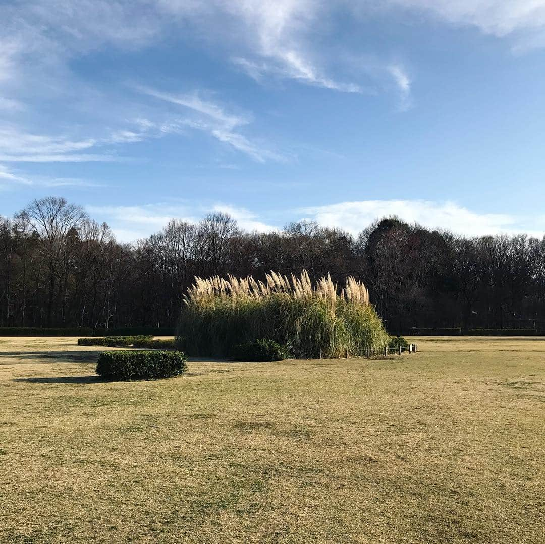 D[di:]さんのインスタグラム写真 - (D[di:]Instagram)「春分の日🌸風は強めだったけど、天気良き東京の空でやんしたね😊😊😊 てなわけで、我が家であるマンションの大改装工事で (⚡️ハンパない騒音で仕事が手につかない&眠れない・特にオンプラ明け水曜は寝れて2時間、☁︎常にベランダでおじさん達がガッシャンガッシャンやっているからカーテンしめきりだし、🤢足場と覆い幕で晴れている日でも薄暗く、空気の入れ替えできないし底冷えハンパなく寒い…)、精神的にマジでヤバめになっていた私を、旦那ちゃんが不憫に思い、レンタカー借りて神代植物公園デートに連れ出してくれた❤️そこで沢山、春🌸🌱見つけたよ😊深大寺そばと天ぷらを池のほとりで食べて舌鼓😋深大寺の鯉をぼんやり眺め、最後に一日中歩き回った脚休めに深大寺温泉♨️、さいっこう〜😆にアースできたお散歩でした。あれだけイライラしてたのが嘘みたいに。やはり、リフレッシュは大事だな。あしたから、また騒音との戦い、がんばろうと思う… #d_official #深大寺 #神代植物公園 #spring #春分の日 #桜 #もくれん #天ぷら #深大寺蕎麦青木屋 #botanical #earth #refresh #つくしんぼ #桃の花」3月21日 20時13分 - deeth