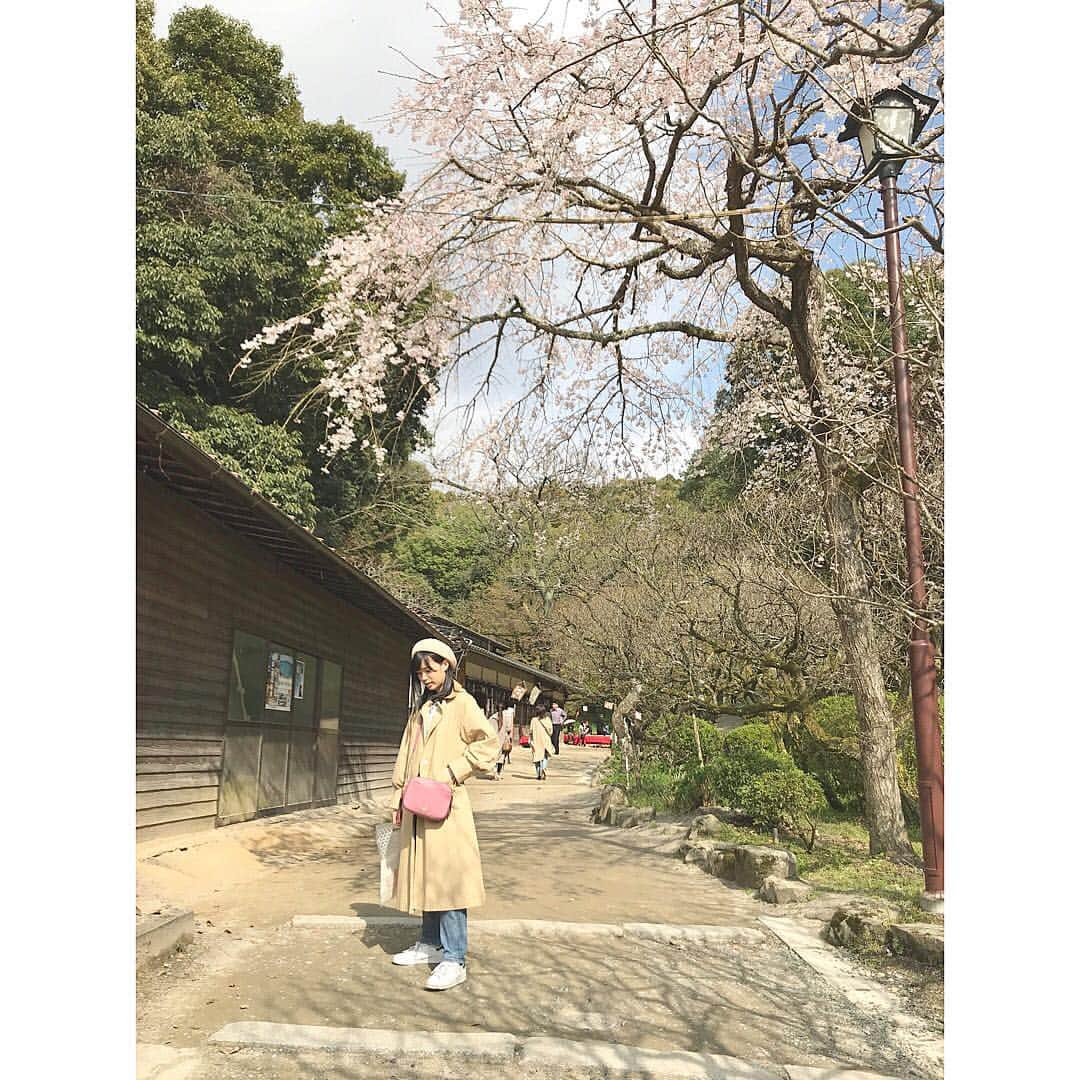 運上弘菜さんのインスタグラム写真 - (運上弘菜Instagram)「. . 太宰府天満宮へ行ってきました 桜が見られてとっても嬉しかった~ . . . #太宰府 #太宰府天満宮 #桜 #桜開花」3月21日 20時29分 - nappi_0809