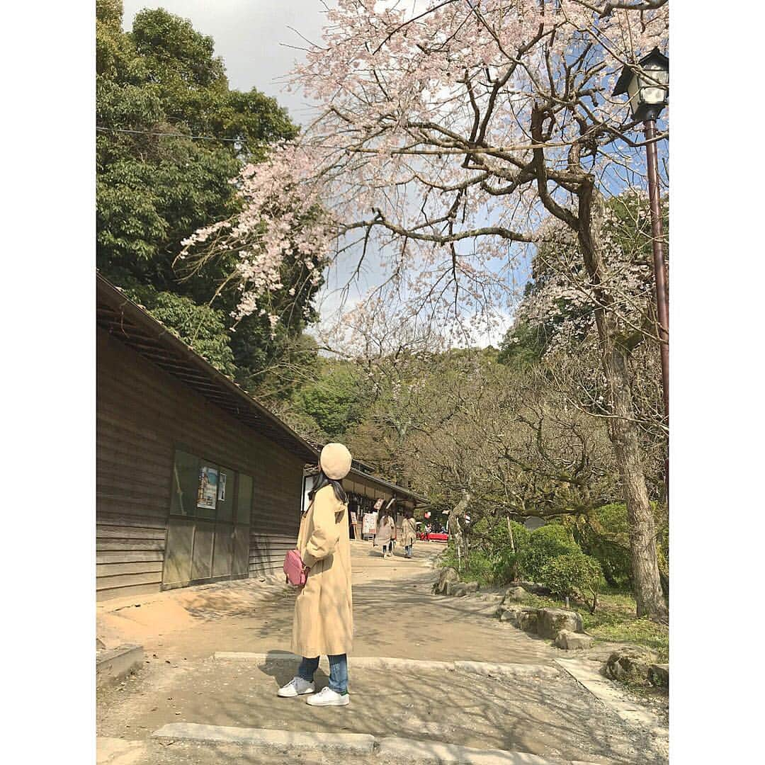 運上弘菜さんのインスタグラム写真 - (運上弘菜Instagram)「. . 太宰府天満宮へ行ってきました 桜が見られてとっても嬉しかった~ . . . #太宰府 #太宰府天満宮 #桜 #桜開花」3月21日 20時29分 - nappi_0809