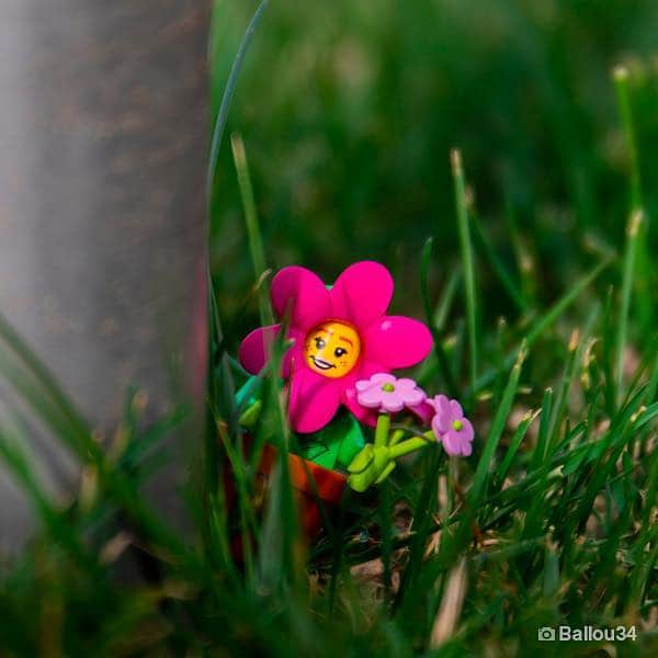 LEGOさんのインスタグラム写真 - (LEGOInstagram)「Spring has sprung 🌼🌸🌻 What's your favorite outdoor activity?  Thanks for the springtastic images to:  @miniature__adventures  @benny.lego @ballou34 @mikepsg75」3月21日 20時57分 - lego